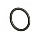 O-ring AN16