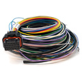 Link Wiring & Connectors