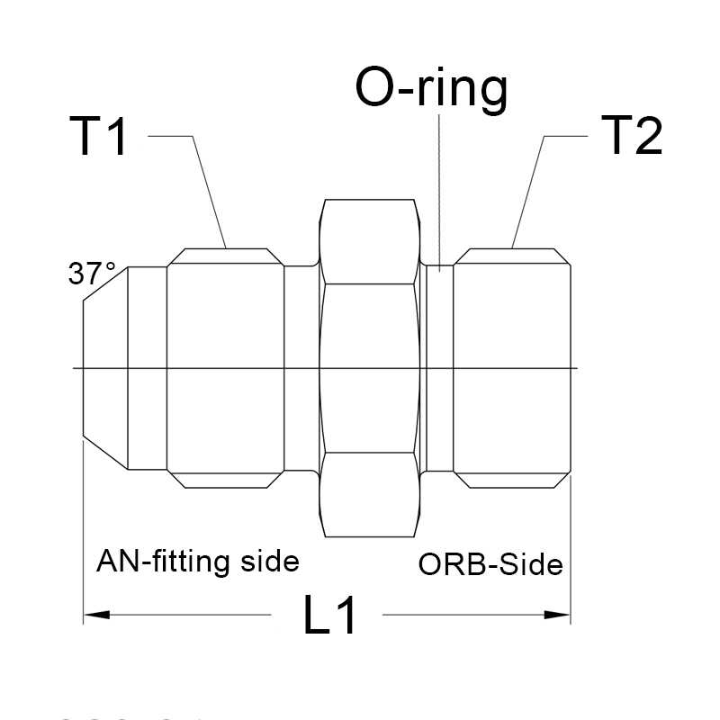AN20 - AN20 o-ring