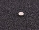 Rund Magnet Neodymium