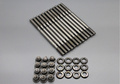 Audi 5 Cyl Cylinderhovedbolte M11