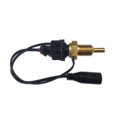 Davies Craig Vandtemperatursensor 1/4" NPT