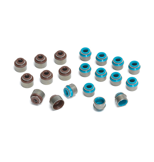 Supertech Valve Seal Kit Intake BMW S50B30