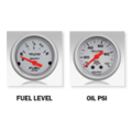 Gauge Type