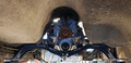 Gearkasse bjælke BMW ZF 5vxl - Volvo 240